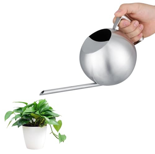 Hominas Gießkanne Zimmerpflanzen, 1L Edelstahl Giesskanne Metall Blumengießkanne Langer Auslauf Klein Giesskanne für Pflanzen Büro Garten, Silber