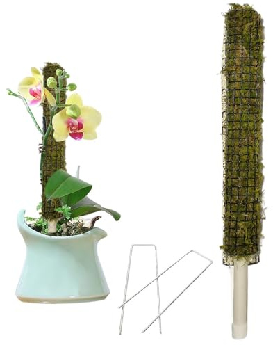 Monstera - Bastone di muschio autoirrigante realizzato a mano, supporto per traliccio per piante rampicanti, pali per piante in vaso, di sfagno, per la crescita delle piante da interno