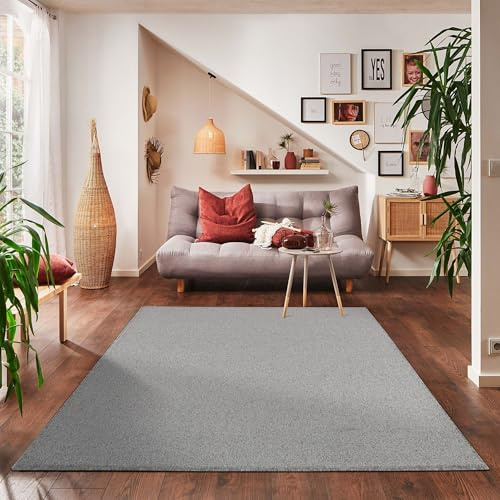 Carpettex Teppich Wohnzimmerteppich, kurz, modern, Farbe und Größe wählbar, hellgrau, 120x170 cm
