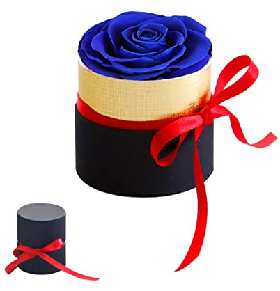 Mini caja de regalo rosa eterna, azul rosas estabilizadas hechas a mano, regalo de San Valentín, rosa eterna, flor nunca marchita, roja niñas regalos de boda, aniversario, regalos románticos, regalo