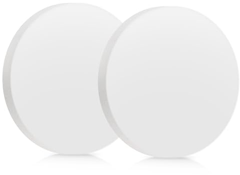 Lot de 2 dessous de verre en diatomite absorbant l'eau - Séchage rapide - Plateau pour évier de cuisine ou salle de bain