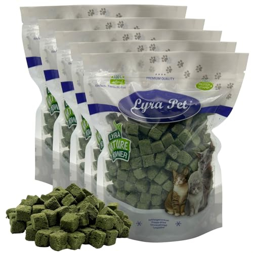 Lyra Pet® 1 kg (5 x 200 g) Cubes d’Herbe à Chat lyophilisés