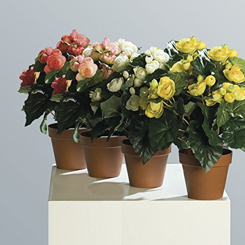 DPI Begonie getopft 32 cm 4 Stück farbig Sortiert Kunstblumen