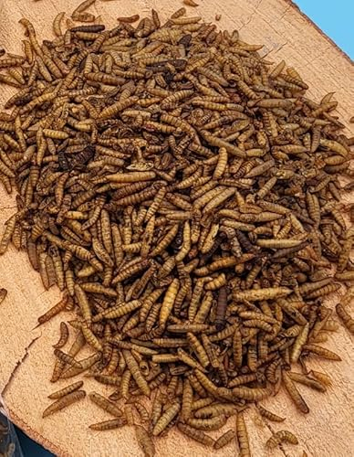 Futterbauer 5kg Soldatenfliegenlarven getrocknet, Premium Vogelfutter, Fischfutter, Futter für Reptilien und Nager, Proteinreiches Naturfutter wie Mehlwürmer