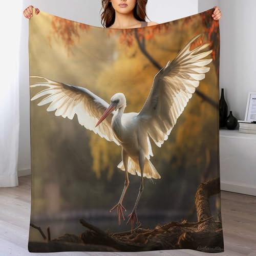 AAPZY Storch Decke,Vier Jahreszeiten Weich Wohndecke Decke Schlafdecke Sofadecke Plüschdecke Pelzdecke Printdesign Couchdecke Flannel Bett Decke （180×200cm）