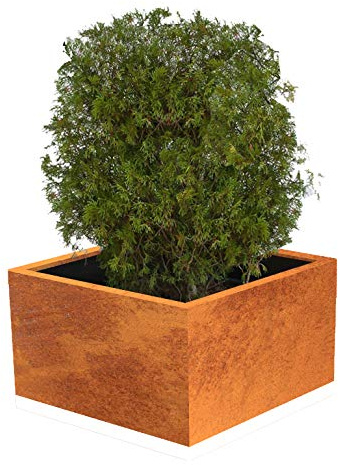 Palatino Exclusive Line Hochbeet/Pflanzkübel Clara Corten-Stahl 100 x 100, Höhe 50 cm