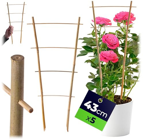 KADAX Rankgitter aus Bambus, 43 x 21 cm, 5er Set, Rankhilfe für Pflanzen, Pflanzengitter, Kletterhilfe & Pflanzstütze für Zimmerpflanzen & Kletterpflanzen