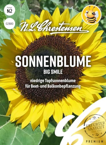 Chrestensen Sonnenblume Big Smile Samen, Gr. N2 | Saatgut, lange Blütezeit, für Beeteinfassungen oder für den Balkonkasten