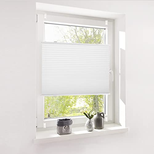 Deswell Plissee ohne Bohren Klemmfix Weiß B75 x H110cm Plisseerollo Sonnenschutz und Sichtschutz Jalousien Easyfix Plissees Lichtdurchlässig Rollo für Fenster & Tür