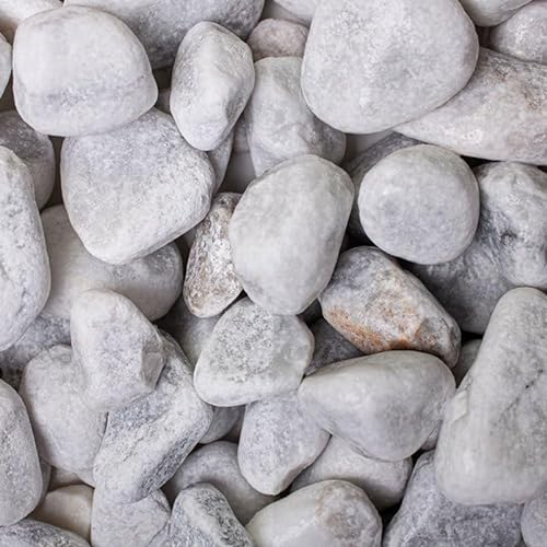 Pflanzen Kölle Marmorkies, weiß, 25-40 mm, 10 kg