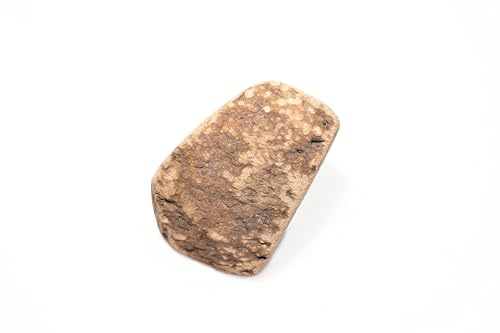 WoodWoof Natürliche Kauknochen für Hunde - Heidewurzel XS 50-100 g - Stressabbau, Ohne Zusatzstoffe, Zahnhygiene - Hunde bis 5 kg