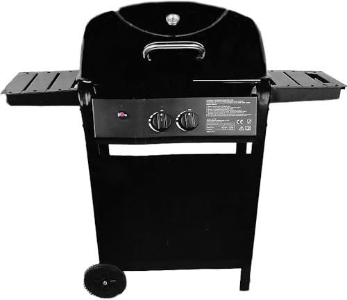 Barbecue a Gas 6.0 kW con 2 Bruciatori in Acciaio Inossidabile Coperchio Smaltato e Termometro Superficie Cottura 50x35 cm griglia da giardino terrazzo