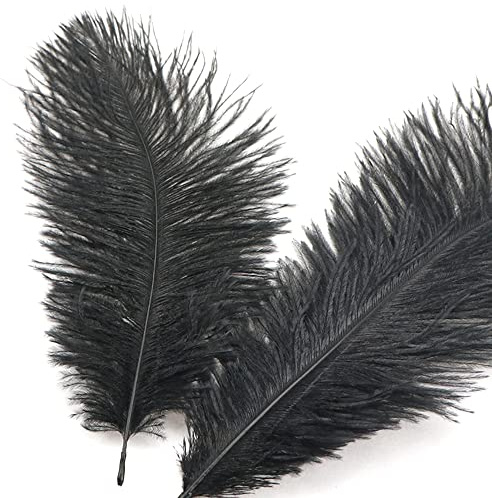 10 Stück 15-20cm Natürliche Straußenfedern,Strauß Feder zum Basteln,Bastel Federn für DIY Traumfänger Zubehör,Heimdekoration,KostüMe,Tischdeko Hochzeit Party Fest Hüte Kleidung Dekoration,Schwarz
