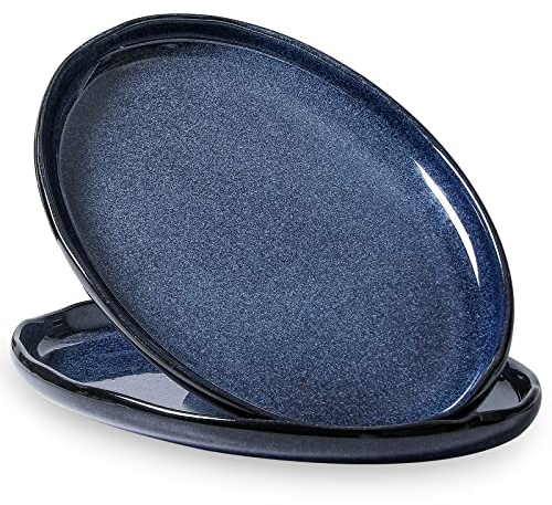 vicrays Piatto da portata in ceramica extra large ovale da 36 cm in porcellana piatti da portata lunghi set di piatti da portata intrattenimento festa ristorante cibo carne sushi pesce tacchino piatto