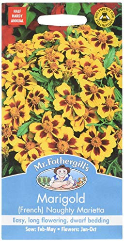 Mr Fothergill's 10427 Flower Seeds, Marigold (French) Naughty Marietta, Yellow & Orange