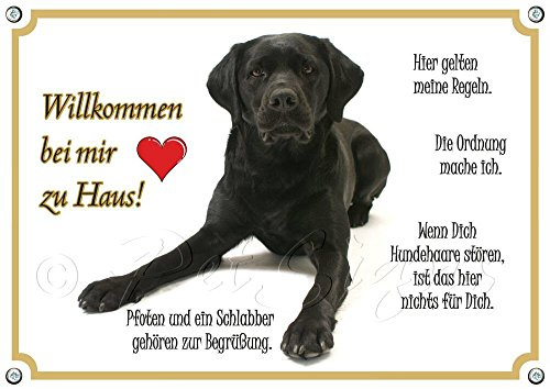 Hundeschild Labrador Retriever - Willkommen - Metallschild in TOP Qualität, DIN A4