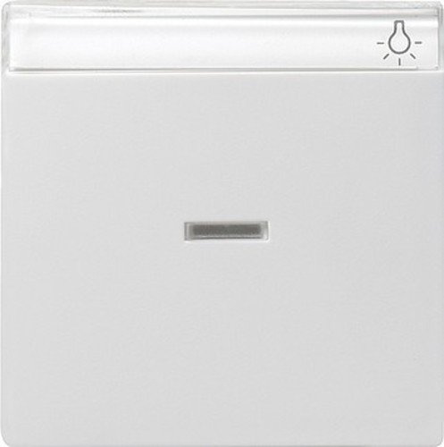 Gira 067003 Wippe Kontroll Beschriftungsfeld System 55, reinweiß