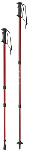 Bâtons télescopiques en aluminium les 2 pièces
