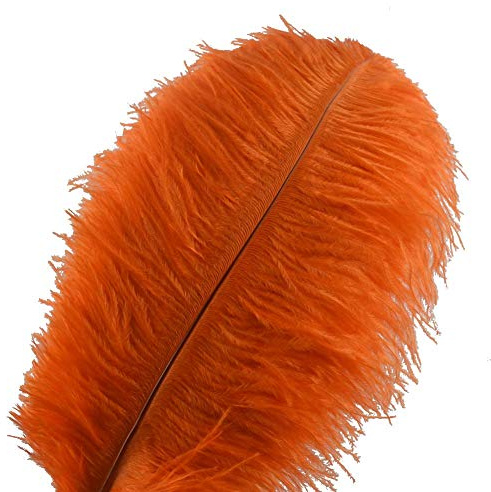 Sowder Lot de 10 plumes d’autruche pour décoration d'intérieur, mariage 30 à 35 cm