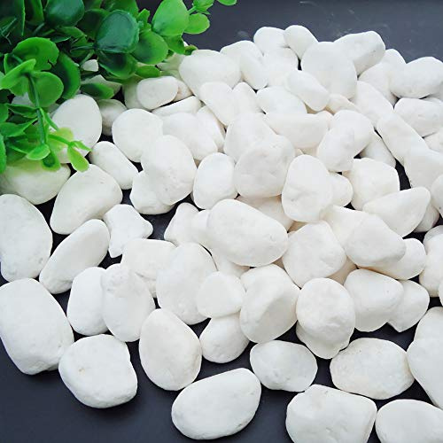 1 Lb/460g White Stones Decorative Pebble Rock Sand for Aquarium/Fish Turtle Tank/Vase Filler/Succulent Plants Decoration (Fill 1 Cup)