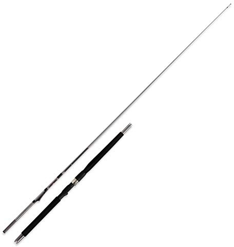 WFT Inlinerute Meeresrute Norwegenrute - Rute Prion Inline 2,10m 400-1200g