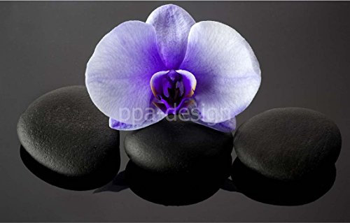 Sticker Autocollant Mural Galets0 Orchidée - SRPA0011 (60x40cm)