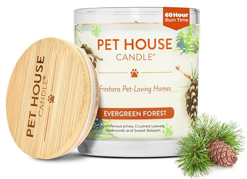 Pet House Pet Odor Candle Plant Based Scented Candle Clean Burning, Long Lasting for Home, Evergreen Forest