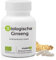 GINSENG ECOLÓGICO * 200 mg / 90 cápsulas * Extracto concentrado de raíz de ginseng rojo coreano (Panax ginseng) * Titulado al 15% en ginsenósidos totales * Energia, Equilibrio emocional, Vitalidad