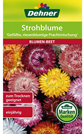 Dehner Blomfrön, stråblomma Fylld, jätteblommig praktblandning
