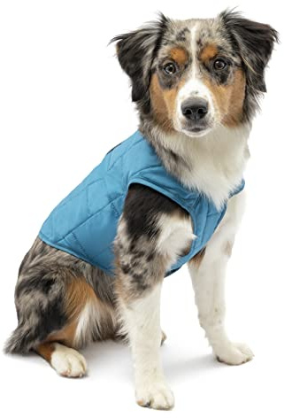 Kurgo Loft Hundejacke, Mit Hundegeschirr kombinierbar, Wasserdicht und reflektierend, Ideal für den Winter, Größe XS, Blau/Orange
