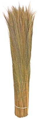 bambus-discount.com Balkonverkleidung Model California 100 x 300cm Sichtschutz Farnmatte mit Blume Wedel 1m x 3m