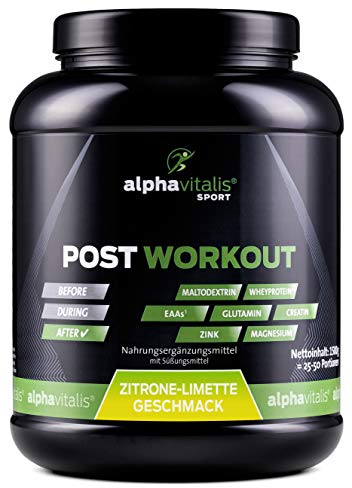 POST WORKOUT Shake - 1500g Lemon - mit Maltodextrin - Whey Protein Pulver - EAA (essentielle Aminosäuren), Creatin Monohydrat, L-Glutamin, Magnesium uvm. - Sportgetränk - Made by alphavitalis