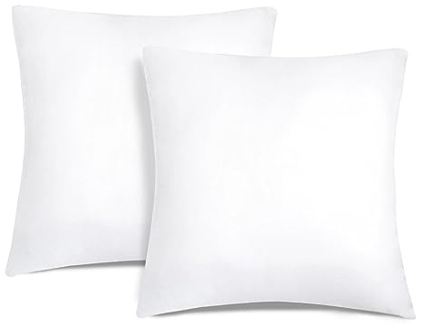 Aitsse- Relleno de Cojín de Fibra Hueca Siliconada de Alta Recuperación 2/4/6 Unidades, Suave, Mullido, Antialérgico. Cojín Decorativo para Casa, Dormitorio, Salón o Coche. (2, 60x60cm)