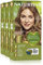 Naturtint Biobased | Haarfarbe Oohne Ammoniak | 8N Weizenblond | Hoher Anteil an natürlichen Inhaltsstoffen | 3er Pack | 510 ml