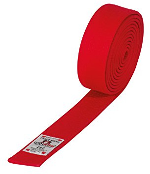 DanRho Taekwondo Judo Ju Jutsu Karate Gürtel 4 cm, Einfarbig, Unisex, Martial Arts Enthusiasts, Gürtel