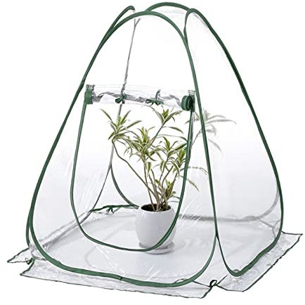 HOLGVE Pop Up kleines Foliengewächshaus,Balkon Platzsparend Anzucht Treibhaus Tomatenhaus,Gewächshaus für Sämling Blumen Pflanzen Wachsen, für Gemüse, Obst, Blumen, Garten, Balkon