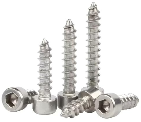 SYDARSYN Selbstschneidende Schrauben 304 Edelstahl Zylinderkopf Holzschrauben mit Innensechskant M2x10mm (100 Stück)