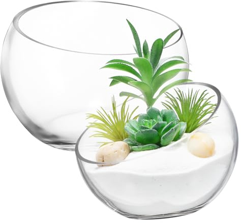 Toddmomy Glaspflanzgefäße für Sukkulenten 2 Stück-Pack Halbrund mit Schrägem Rand Transparent für Hydrokultur im Wohnzimmer und Balkon