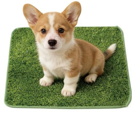 Dog Grass Pee Pad, Artificial Grass for Dogs, Puppy Grass Training Pad, Indoor Toilet Solution for Apartments, Travel and Weather Emergencies, 46 x 70 cm