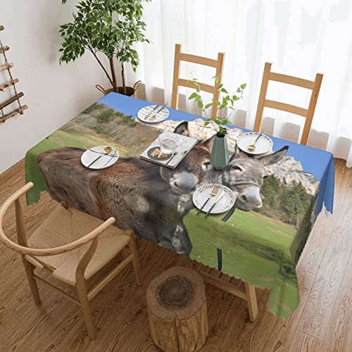 PSVOD Lustige Esel-Tischdecke kann gewaschen werden, die lange quadratische Gartentischdecke, geeignet für Aktivitäten, Hochzeiten, Bankette, Partys