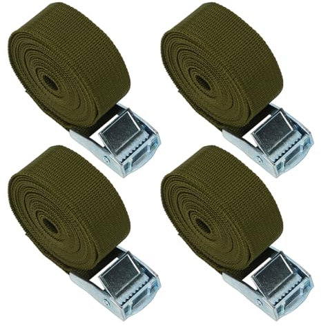 4 Stück Spanngurte Grün, 2,5m Verstellbare Zurrgurte mit Klemmschloss, 250kg Tragkraft, Befestigungsgurt für Auto Motorrad Fahrradträger Materialtransport
