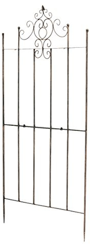 CLP Treillis métallique de 170 cm de Haut Paula, Support Stable pour Plantes grimpantes, clôture pour Treillis de Style campagnard, Couleur:Bronze