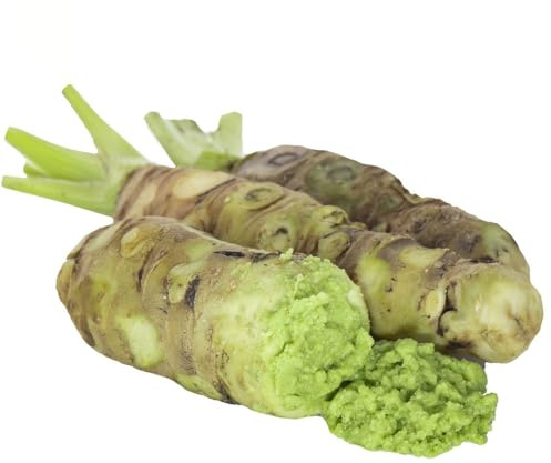 200 pz Semi di wasabi piante da balcone vere Vasi per piante, regali per gli amanti del giardino Le piante in vaso sono resistenti semi di piante d'appartamento piante da giardino,