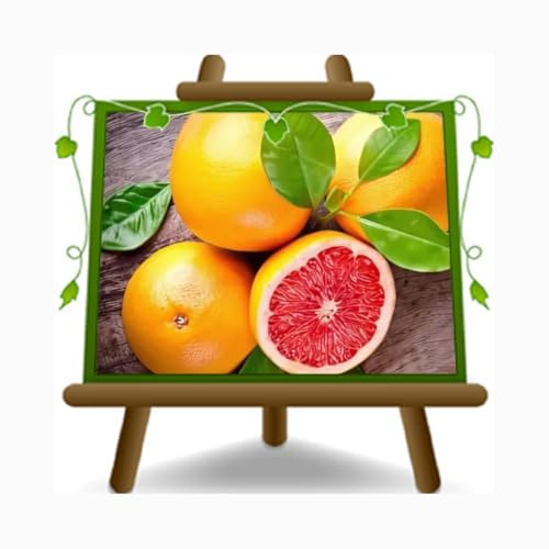 Citrus Grapefruit - Citrus Paradisi Rosa - Obstpflanze auf Blumentopf 22 - Baum max 95 cm - Anbau Italien