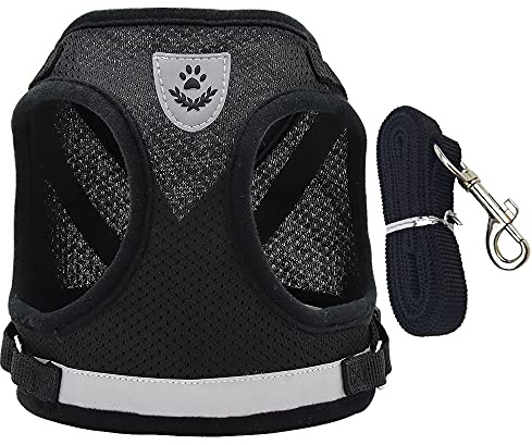 Hundegeschirr mit Leine Set für kleine Hunde ，Verstellbare Hundegeschirr Reflektierend kein Ziehen Brustgeschirrem Katzengeschirr Atmungsaktiv Dog Harness (M)