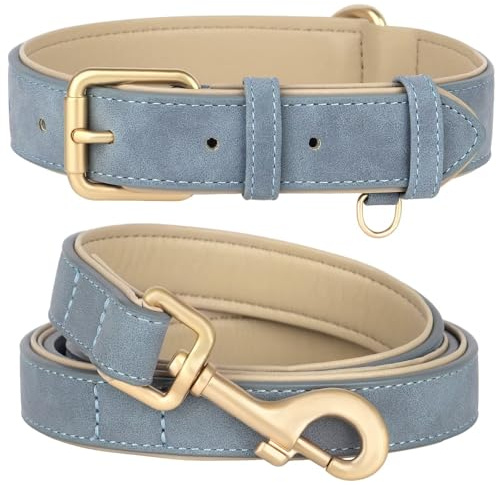 Beirui Weich gepolstertes Hundehalsband und Leine, Set aus robuster Hundeleine und Halsband mit Metallschnalle, atmungsaktives Haustierhalsband mit 122 cm Leine für kleine Hunde (Blau, Halsumfang 27,9