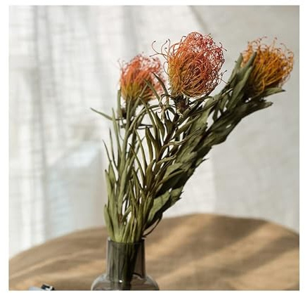 WYLFYJP Künstliche Nadelkissenblume Südafrikanische Kaiserblume, Fotografie-Requisiten, Nadelkissen Getrocknete Blume Blumenkunst Natürliche Trockenpflanzen, Blumenstrauß, Passende