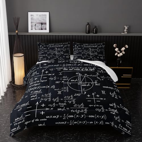 Math Equations Bedding Set for Boys,Mathematics Comforter Set, Math Geometry Axis Art Quilted Duvet for Teens Bedroom Decor,Modern Decorative 3 Piece Bedding Set with 2 Pillow Shams, Queen Size,Black