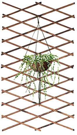 Jardin pour Plantes grimpantes – Clôture Jardin en Bois, Cadre Extensible Naturel pour Plantes grimpantes