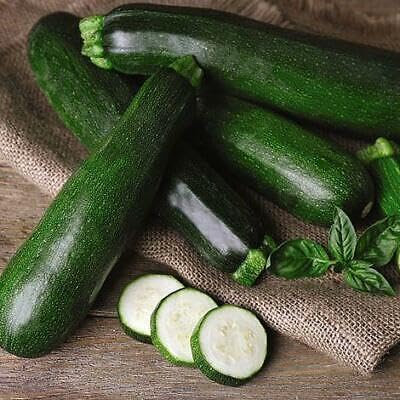 Buy4seeds 20 Seeds Courgette Black Beauty Dark Fog Zucchini Useful Easy for Grow Garden